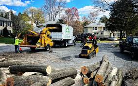 Best Pest Control for Lawns  in Lone Pine, CA